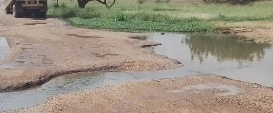 Vecinos denuncian problema de aguas servidas en Zona Industrial de Calabozo