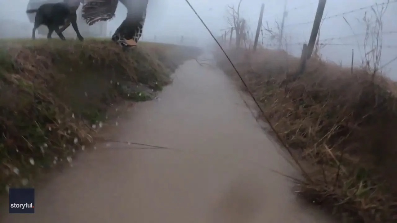 VIDEO: El dramático momento cuando una pareja y sus perros escapan de un tornado en Texas