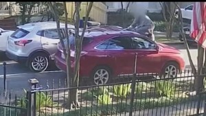 VIDEO: La heroica maniobra de un hombre para frustrar el robo de su auto en Nueva Orleans
