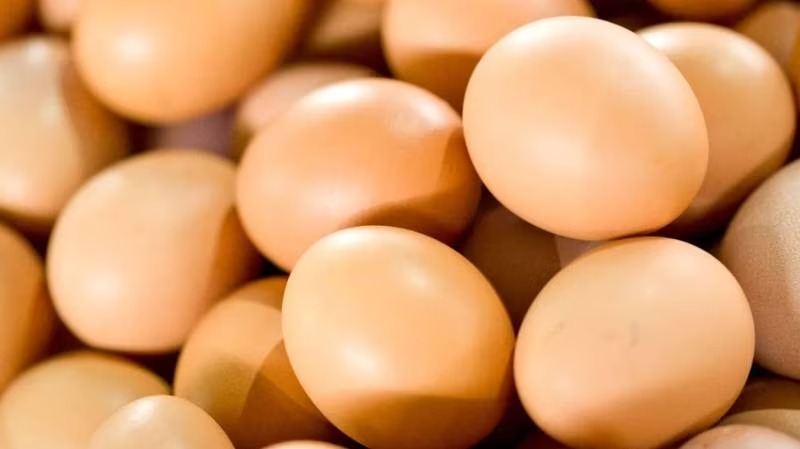 ¿Serán de oro? Mostró la factura de cómo cambió el precio de los huevos en un año en EEUU y se indignó (VIDEO)