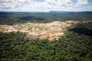 How ‘blood gold’ damages the Amazon rainforest in Venezuela