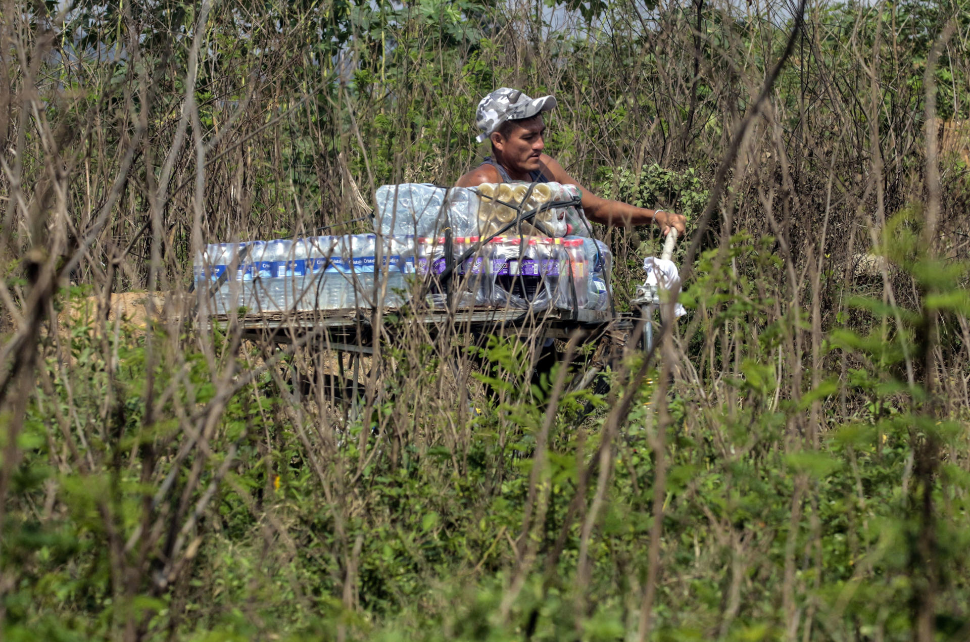 Colombia y el chavismo acordaron buscar restos mortales de víctimas de conflictos en zonas fronteriza