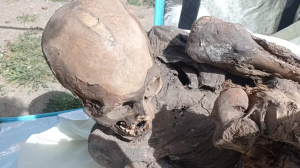 Hallaron momia de 800 años en la bolsa de repartidor detenido por beber en la calle