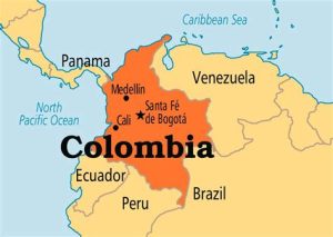 Venezuela appoints new ambassador to Colombia