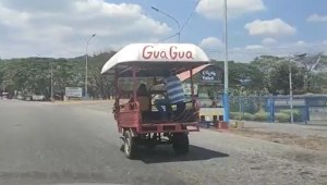La “Gua Gua” improvisada en Portuguesa, otra señal de por qué Venezuela no se arregló (VIDEO)