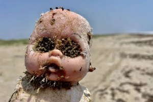 De una sirena a una muñeca: Los espeluznantes hallazgos en la playa de Texas que serán subastados