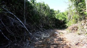 Ecocidio en Falcón busca acabar con el Parque Nacional Morrocoy