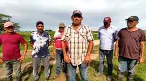 Productores pecuarios del sector La Tragavenada en Apure claman por protección gubernamental ante incremento del abigeato