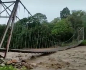 Peligro inminente en el puente colgante Las Doradas en Barinas… su reparación quedó en promesas