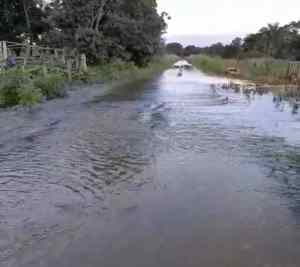 Desborde del río en Canaguá dejó siembras, potreros y casas inundadas en Barinas