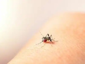 Alerta en Socopó por dengue hemorrágico, exigen claridad a las autoridades sanitarias