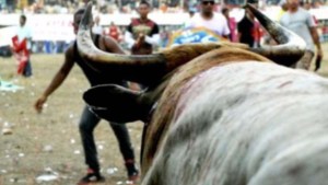 Cornada mortal: Hombre murió embestido por un toro durante una encerrona