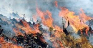 Sube a cuatro el número de fallecidos por un incendio forestal en el sur de Perú