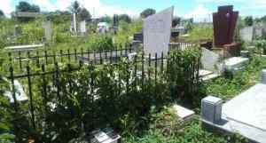 Las tumbas se pierden entre la maleza y los choros en el cementerio de Zaraza
