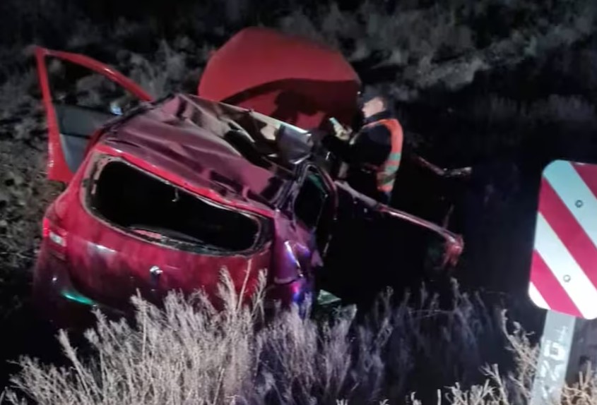 Insólito: Una familia terminó gravemente herida y con el carro DESTROZADO tras esquivar una vaca en la carretera (FOTOS)