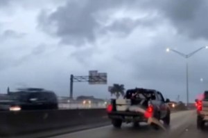 “Solo en Florida”: filmaron a una camioneta con un tiburón en la caja y el VIDEO se hizo viral