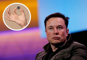 Cuán cerca estamos de tener los “cerebros tecnológicos” que plantea Elon Musk