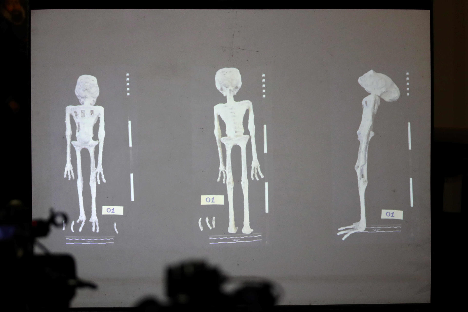 Arqueólogos forenses zanjaron de una vez por todas el escandaloso caso de las momias extraterrestres