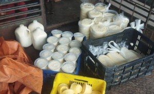Mérida: apagones ponen en jaque producción de leche y derivados en Jají