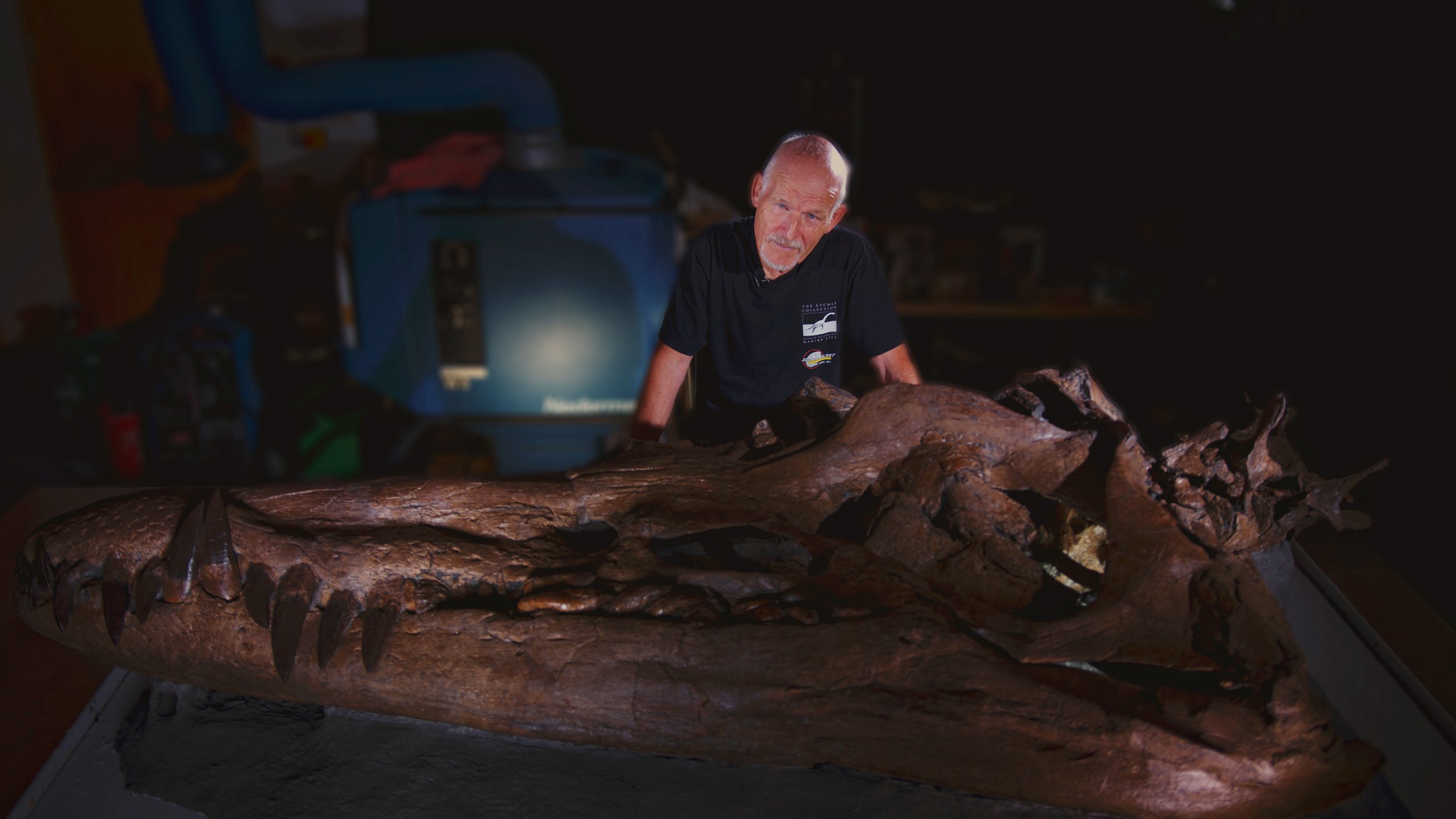 Un cráneo de pliosaurio, gran depredador del mar, se exhibe por primera vez en Reino Unido