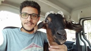 Vegano pagó un dineral por una cabra para evitar que se la comieran y encabezó campaña que se volvió VIRAL