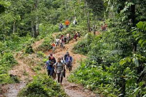 Colombia y Panamá “no están protegiendo” a los migrantes del Darién, denuncia HRW