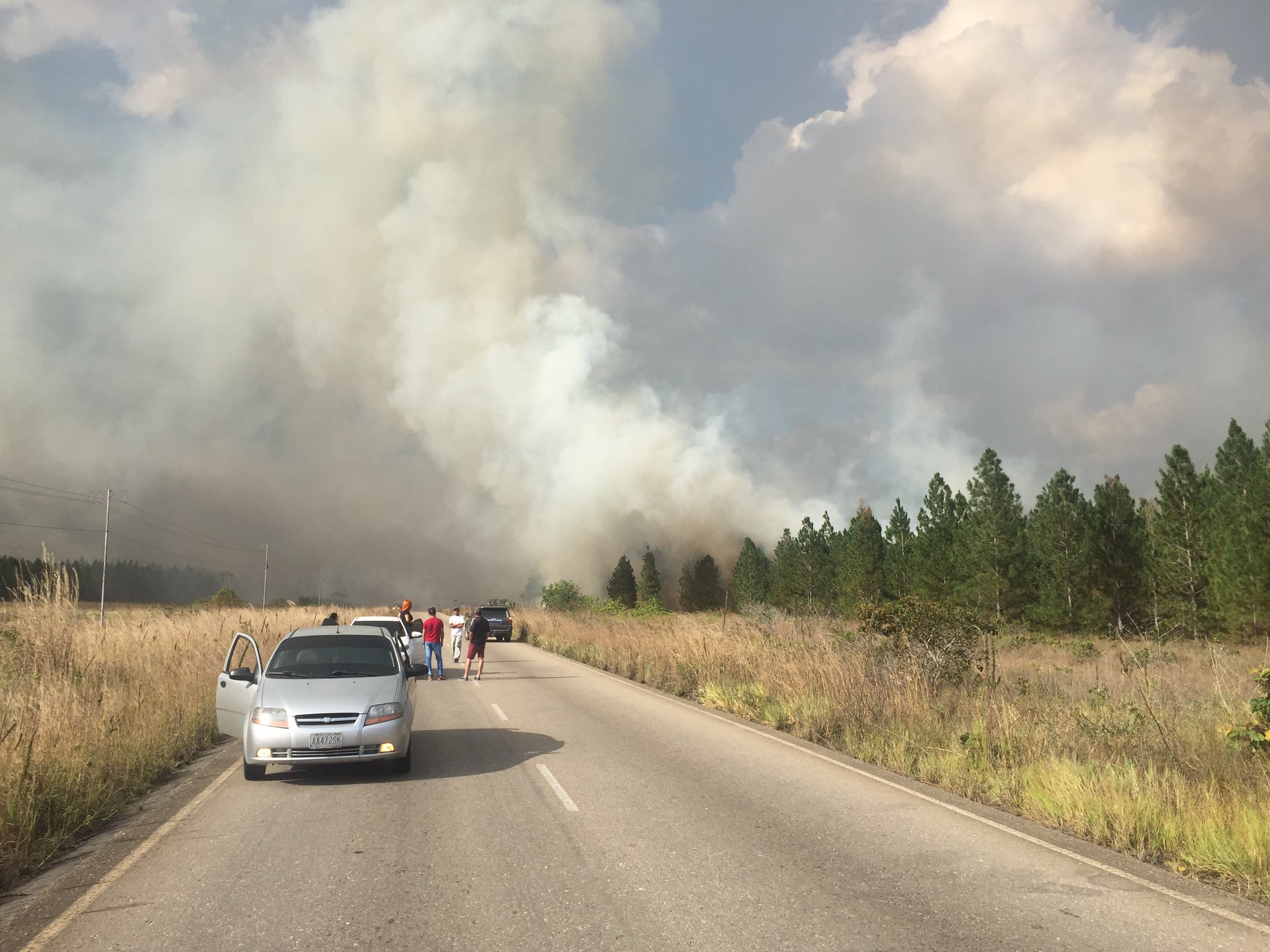 Múltiples hectáreas de pinos se incendiaron en Uverito, entre Anzoátegui y Monagas