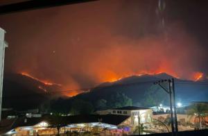 Más de tres mil incendios afectaron casi 61 mil hectáreas desde diciembre en Venezuela