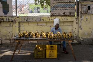 Informe Provea: 45% de los hogares venezolanos enfrenta inseguridad alimentaria