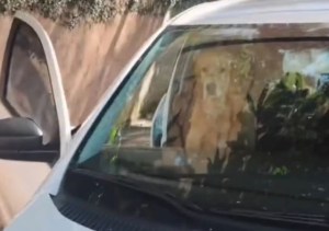“Mi amor, no”: Fue a buscar su auto para ir a trabajar y encontró a su perro en una situación desgarradora (VIDEO)