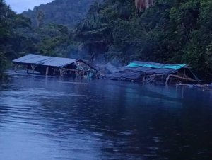 Fanb destruyó ocho balsas que se utilizaban para la minería ilegal en Amazonas