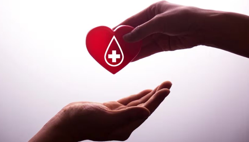 Diez mitos sobre la donación de sangre: las respuestas a las dudas más frecuentes