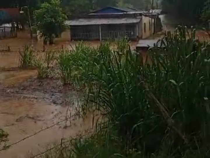 Desbordamiento del río Quiú en Barinas inundó varias propiedades