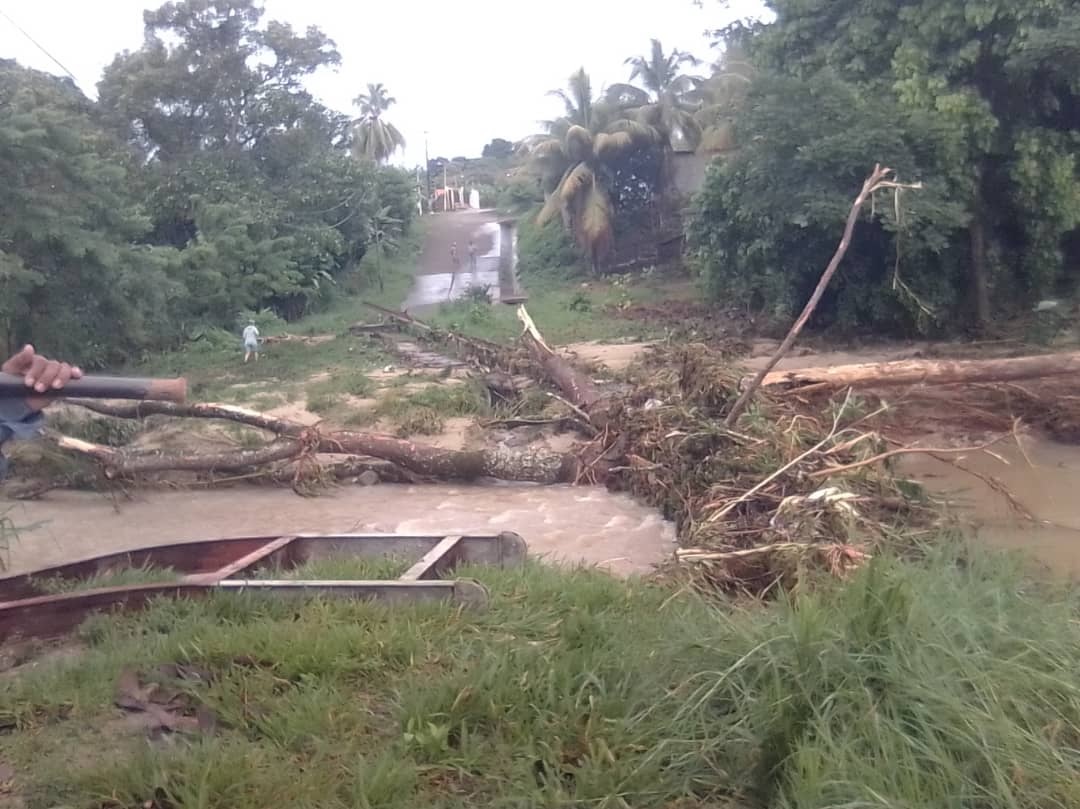 Familias “quedaron guindando” tras colapso de puente entre barrio Altamira y Quebrada Seca en Barinas