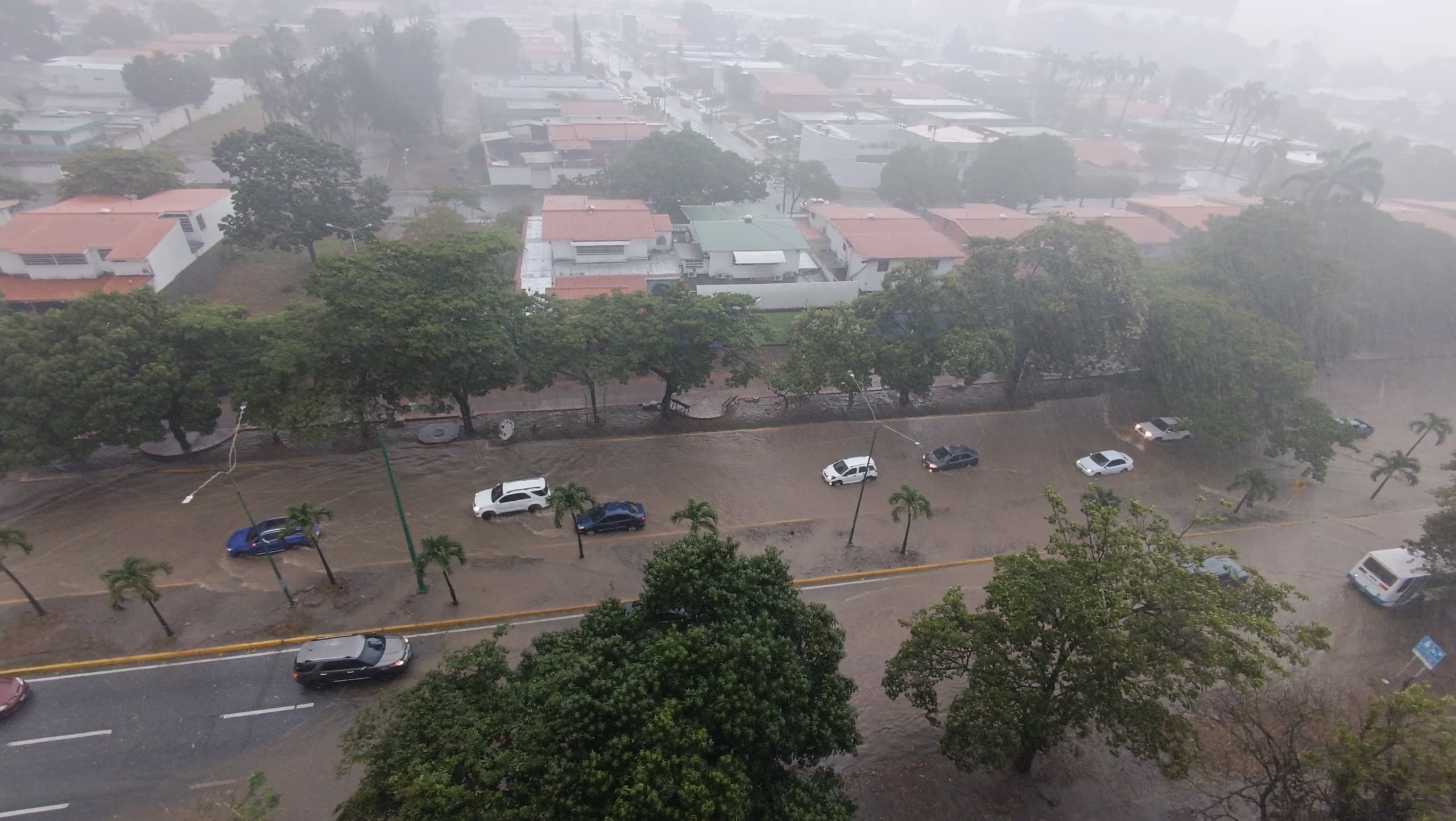 Árboles caídos y viviendas inundadas tras la lluvia granizada en Barquisimeto